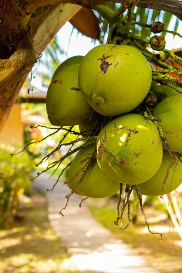 Raiatea Sur Mer Opoa Ngoại thất bức ảnh